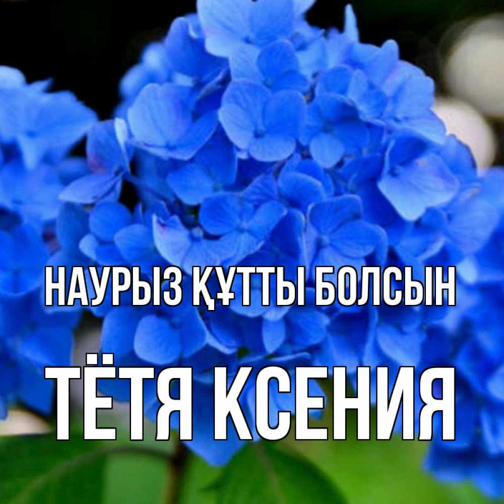 Открытка на каждый день с именем, Тётя-Ксения Наурыз құтты болсын синие цветы Прикольная открытка с пожеланием онлайн скачать бесплатно 