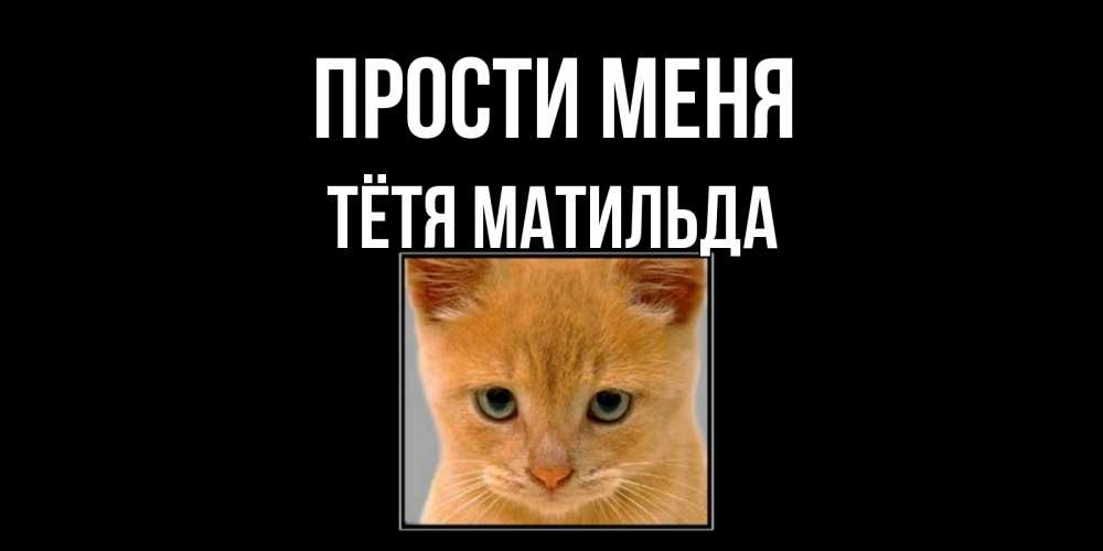 Открытка на каждый день с именем, Тётя-Матильда Прости меня рыжий грустный кот просит прощения Прикольная открытка с пожеланием онлайн скачать бесплатно 