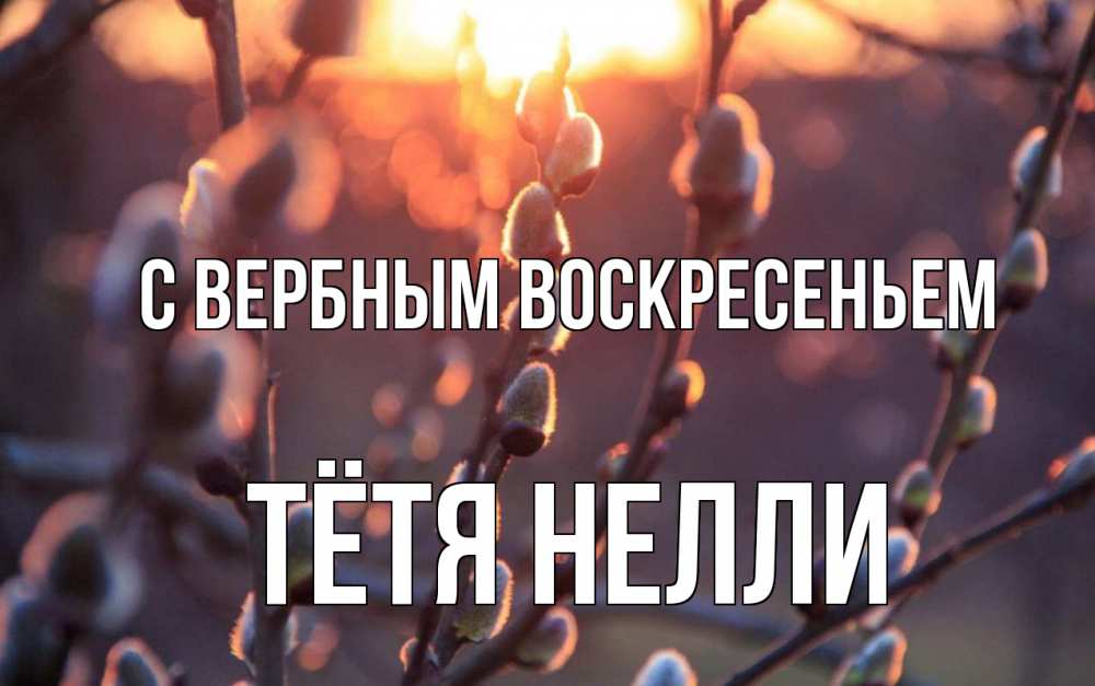 Открытка на каждый день с именем, Тётя-Нелли С вербным воскресеньем верба Прикольная открытка с пожеланием онлайн скачать бесплатно 