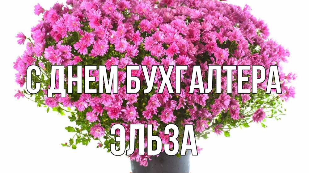 Открытка на каждый день с именем, Эльза С днем бухгалтера с днем бухгалтера Прикольная открытка с пожеланием онлайн скачать бесплатно 