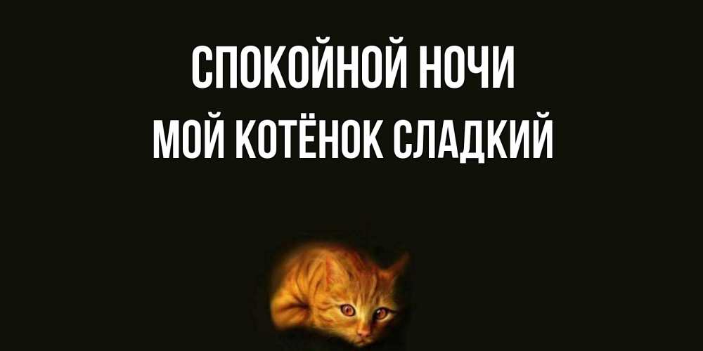 Доброе утро котик мой. Любимому котику. Я тебя люблю котик. Мой сладкий котенок. Котята любовь.