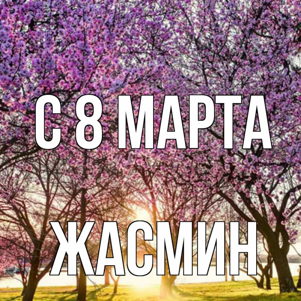 Открытка на каждый день с именем, Жасмин С 8 марта международный женский день Прикольная открытка с пожеланием онлайн скачать бесплатно 