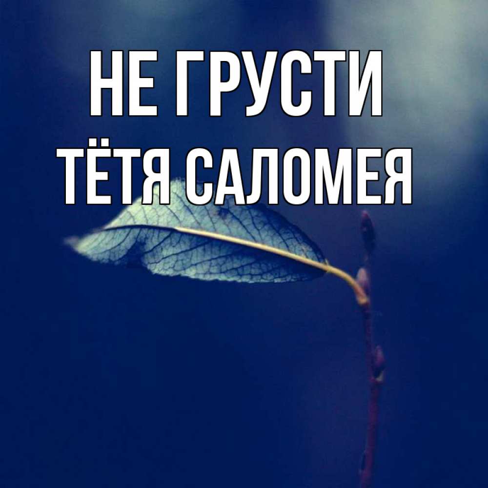 Открытка на каждый день с именем, Тётя-Саломея Не грусти растение Прикольная открытка с пожеланием онлайн скачать бесплатно 