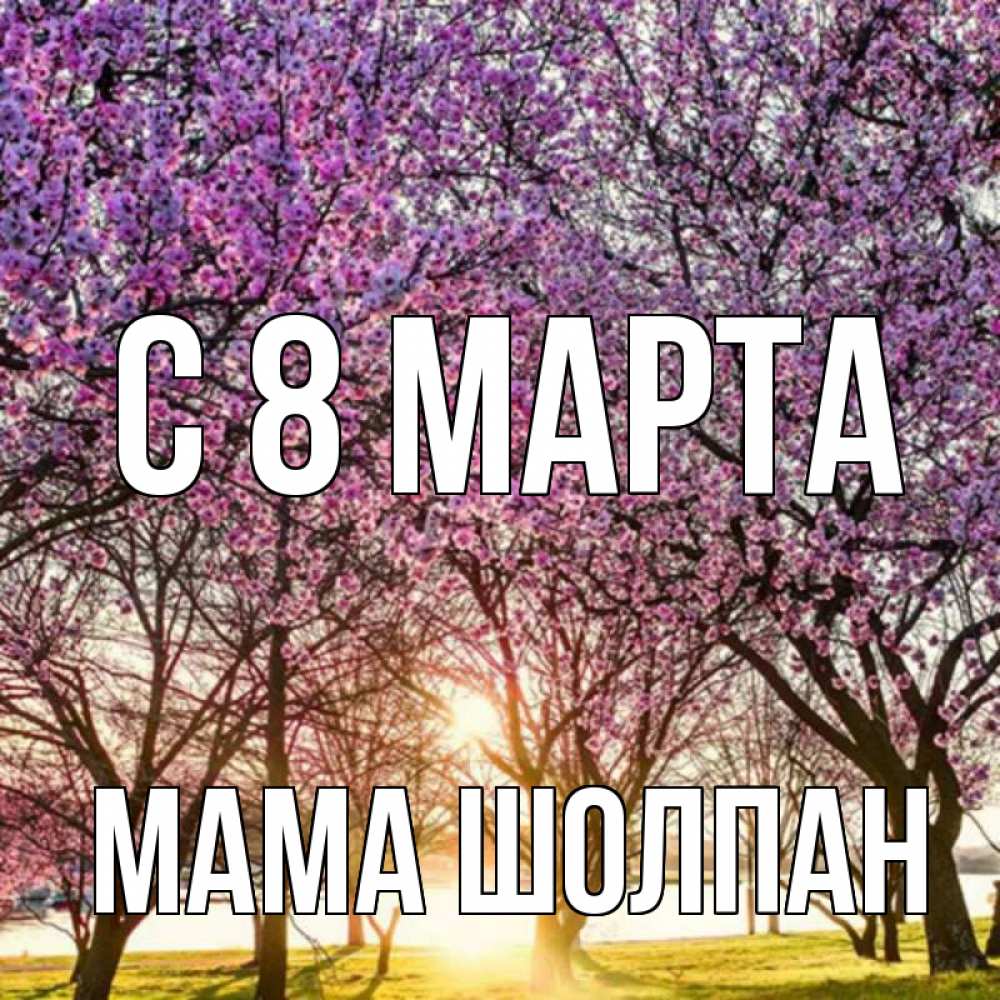 Открытка на каждый день с именем, Мама-Шолпан С 8 МАРТА международный женский день Прикольная открытка с пожеланием онлайн скачать бесплатно 