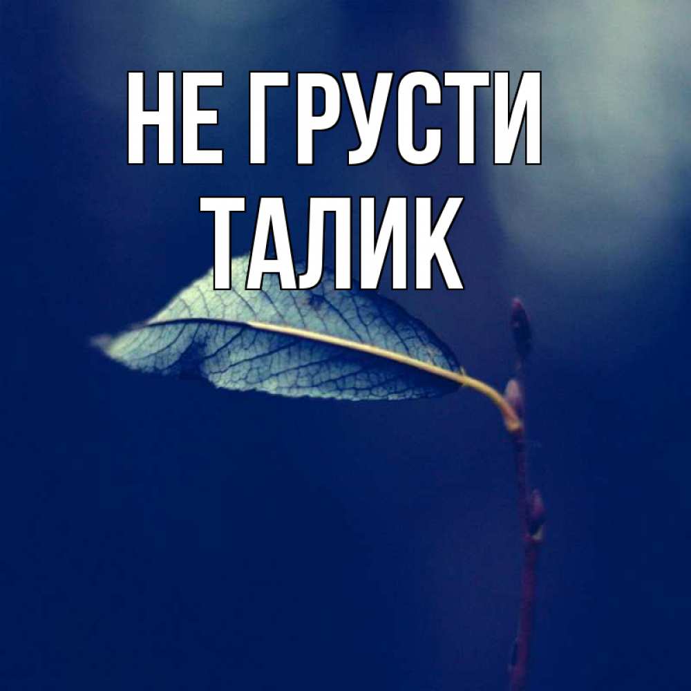 Открытка на каждый день с именем, Талик Не грусти растение Прикольная открытка с пожеланием онлайн скачать бесплатно 