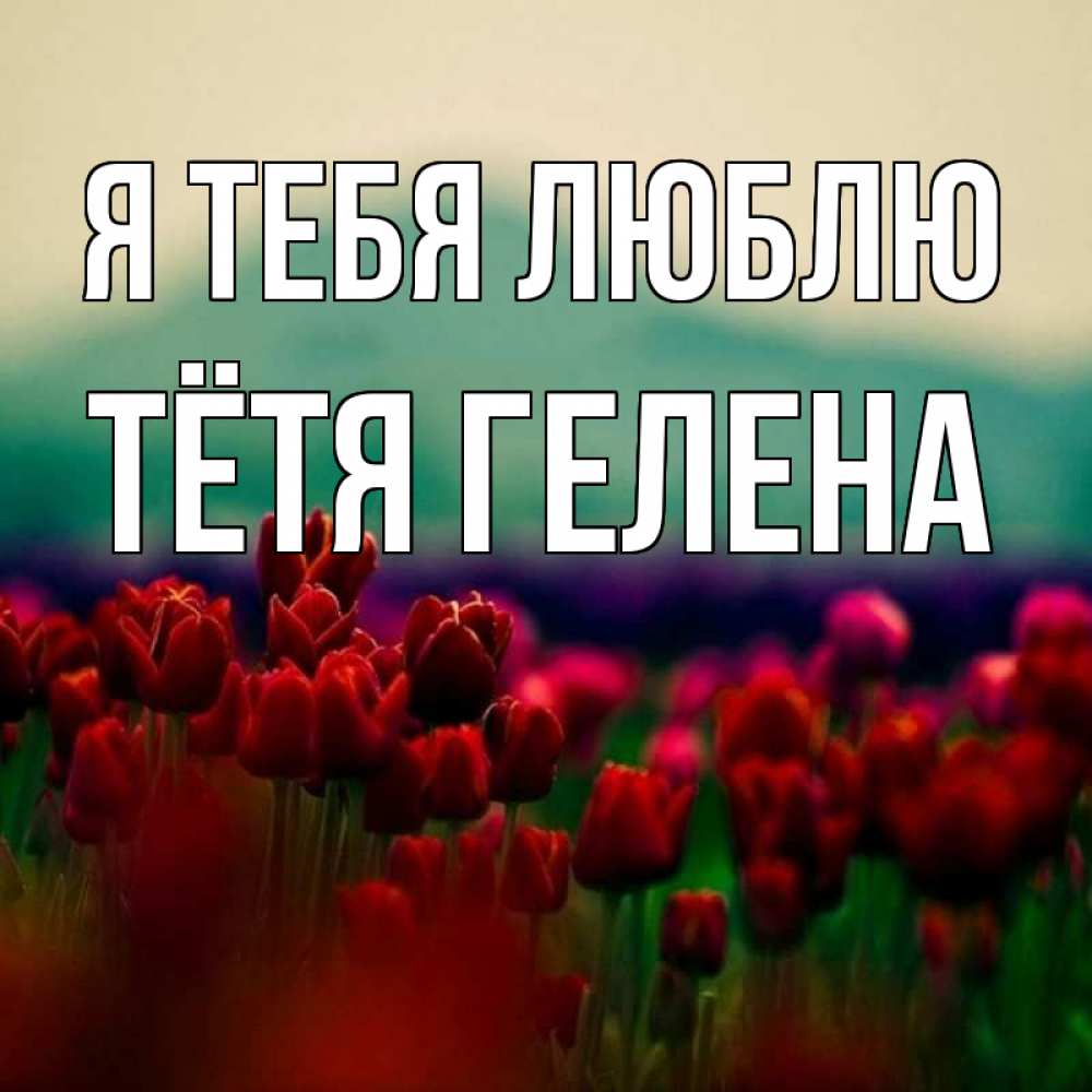 Открытка на каждый день с именем, Тётя-Гелена Я тебя люблю тюльпаны 4 Прикольная открытка с пожеланием онлайн скачать бесплатно 