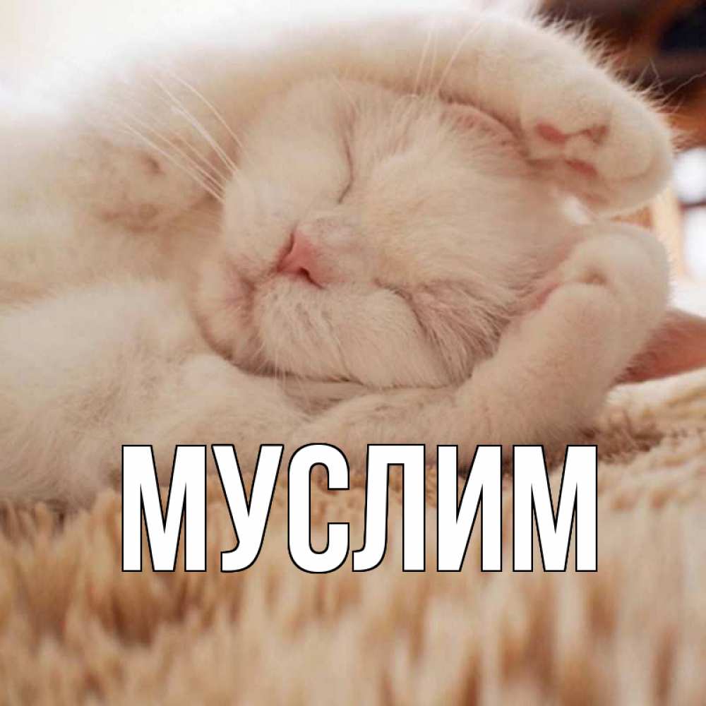 Открытка с именем, Муслим, 