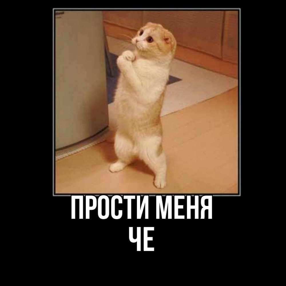 Прости Я Больше Так Не Буду Картинки