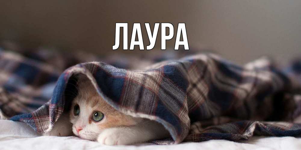 Картинка  с именем , Лаура