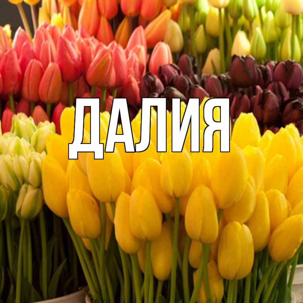 Картинка  с именем , Далия