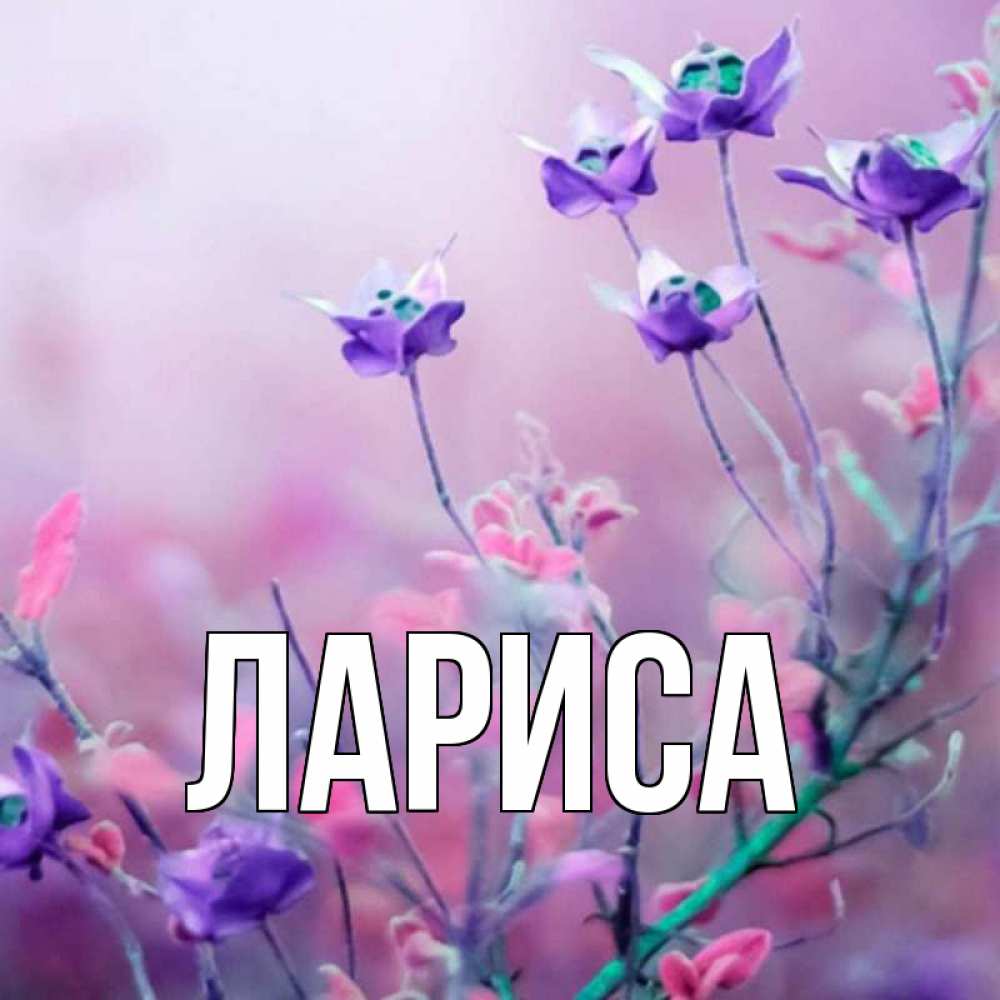 Картинки люблю ларису