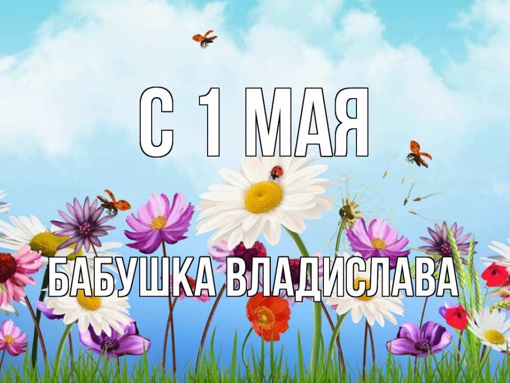 Открытка на каждый день с именем, Бабушка-Владислава С 1 мая С 1 мая Прикольная открытка с пожеланием онлайн скачать бесплатно 