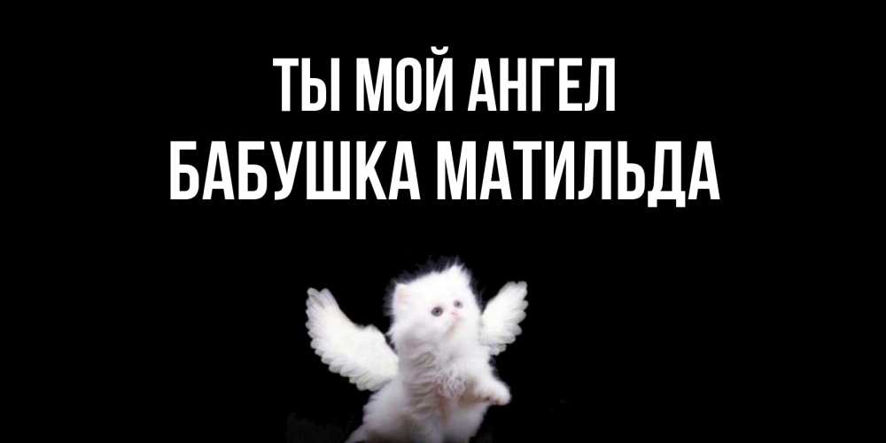 Открытка на каждый день с именем, Бабушка-Матильда Ты мой ангел Кот ангел Прикольная открытка с пожеланием онлайн скачать бесплатно 