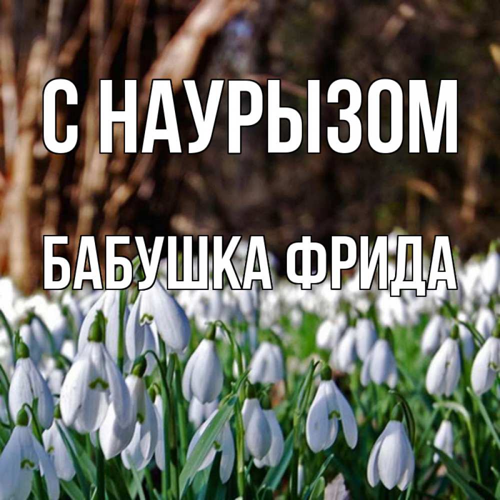 Открытка на каждый день с именем, Бабушка-Фрида С наурызом с подснежниками 1 Прикольная открытка с пожеланием онлайн скачать бесплатно 