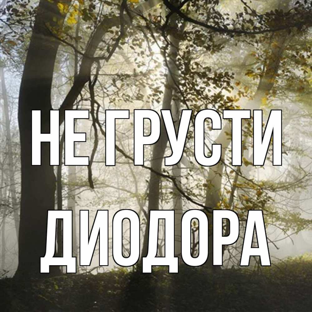 Открытка на каждый день с именем, Диодора Не грусти лес и свет Прикольная открытка с пожеланием онлайн скачать бесплатно 