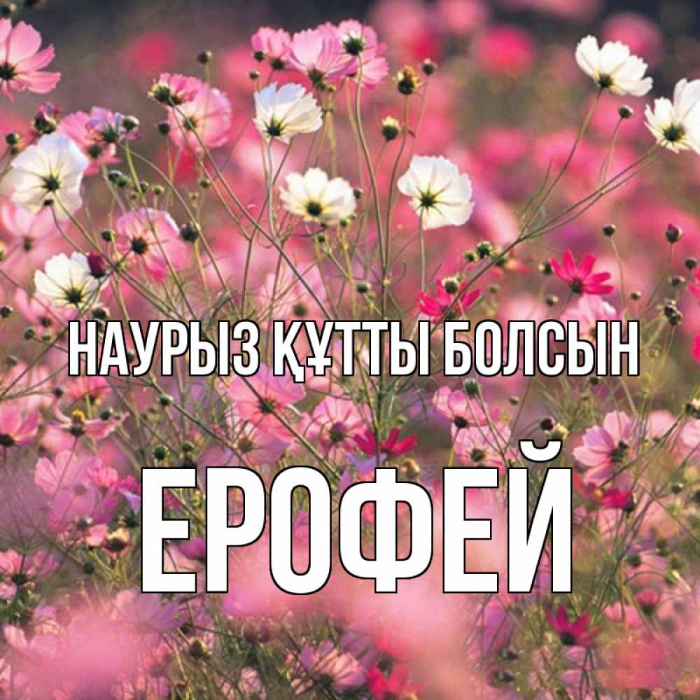 Открытка на каждый день с именем, Ерофей Наурыз құтты болсын красиво 1 Прикольная открытка с пожеланием онлайн скачать бесплатно 