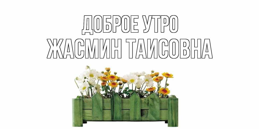 Открытка на каждый день с именем, Жасмин-Таисовна Доброе утро цветы Прикольная открытка с пожеланием онлайн скачать бесплатно 
