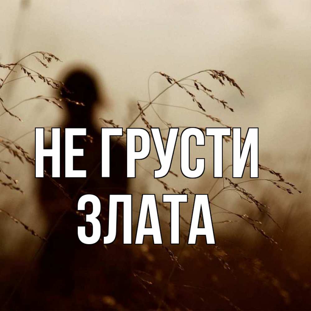 Открытка на каждый день с именем, Злата Не грусти грусть Прикольная открытка с пожеланием онлайн скачать бесплатно 