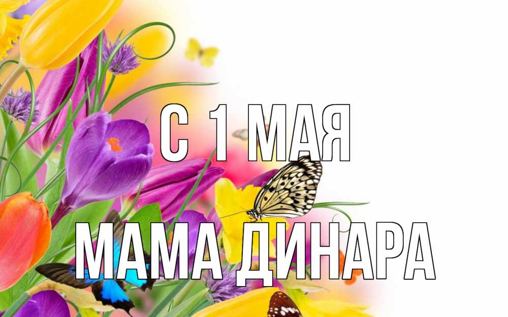 Открытка на каждый день с именем, Мама-Динара С 1 мая С 1 мая Прикольная открытка с пожеланием онлайн скачать бесплатно 