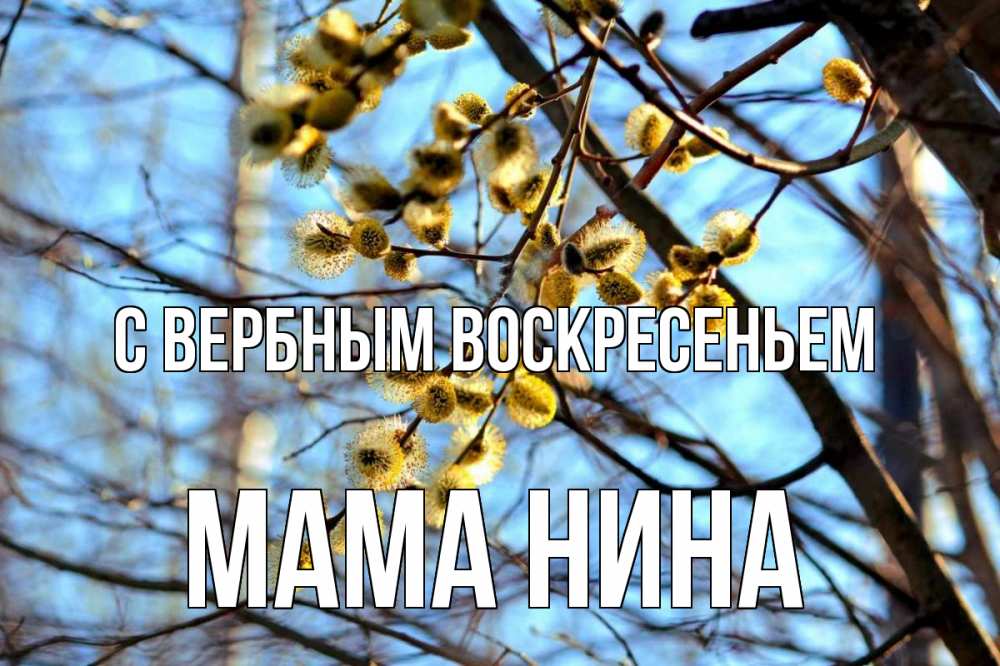 Открытка на каждый день с именем, Мама-Нина С вербным воскресеньем верба Прикольная открытка с пожеланием онлайн скачать бесплатно 