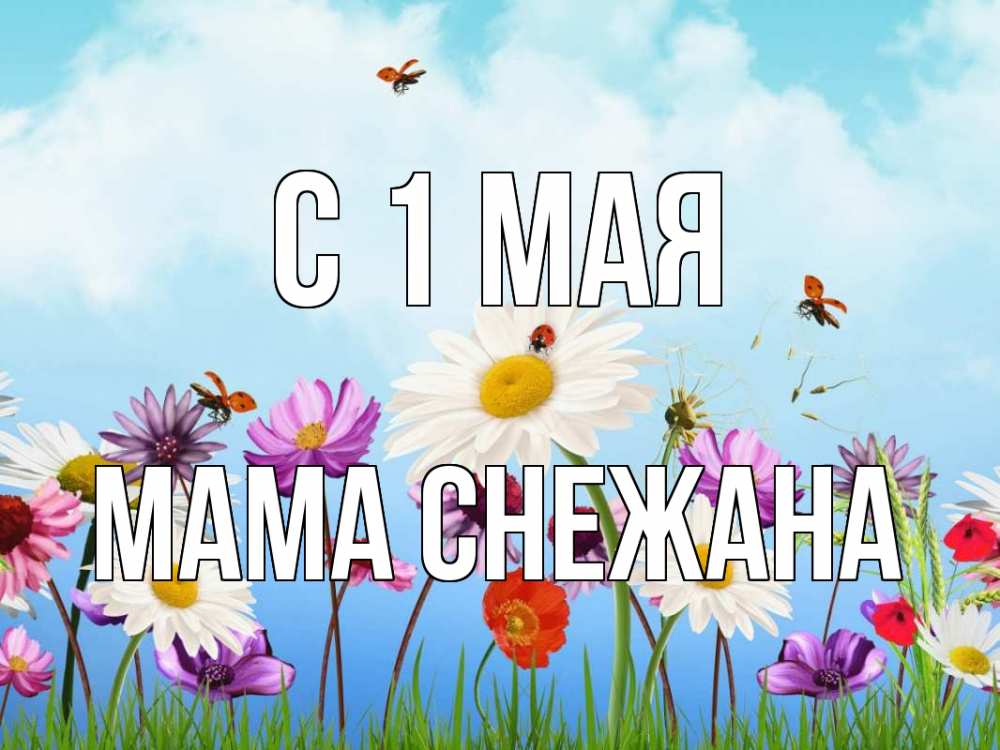 Открытка на каждый день с именем, Мама-Снежана С 1 мая С 1 мая Прикольная открытка с пожеланием онлайн скачать бесплатно 
