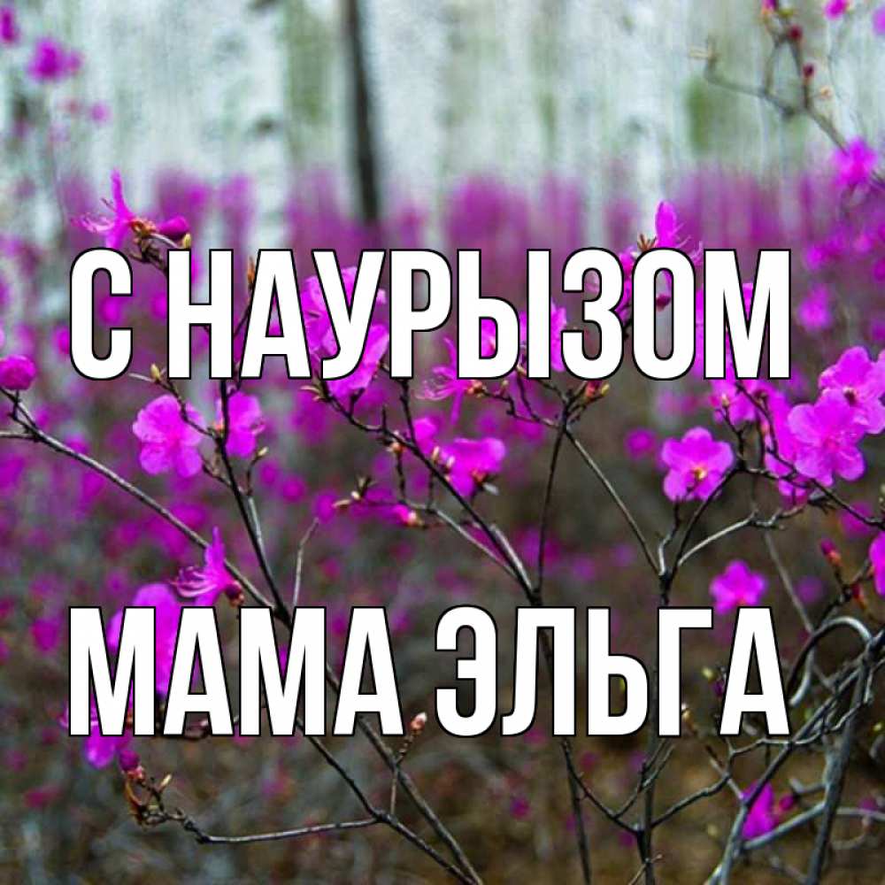 Открытка на каждый день с именем, Мама-Эльга С наурызом дикие цветы Прикольная открытка с пожеланием онлайн скачать бесплатно 