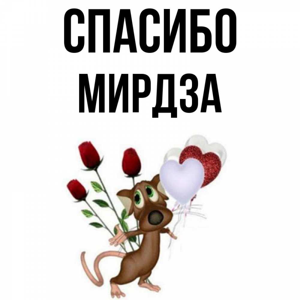 Открытка на каждый день с именем, Мирдза Спасибо песик с шариками в форме сердец Прикольная открытка с пожеланием онлайн скачать бесплатно 