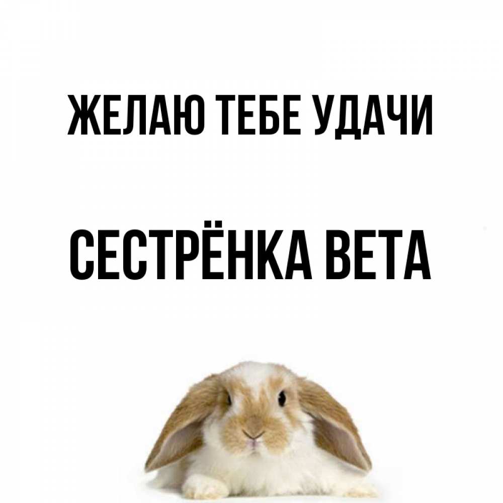 Открытка на каждый день с именем, Сестрёнка-Вета Желаю тебе удачи открытки с произвольным текстом который можно вставить в открытку и создать ее самостоятельно бесплатно онлайн Прикольная открытка с пожеланием онлайн скачать бесплатно 