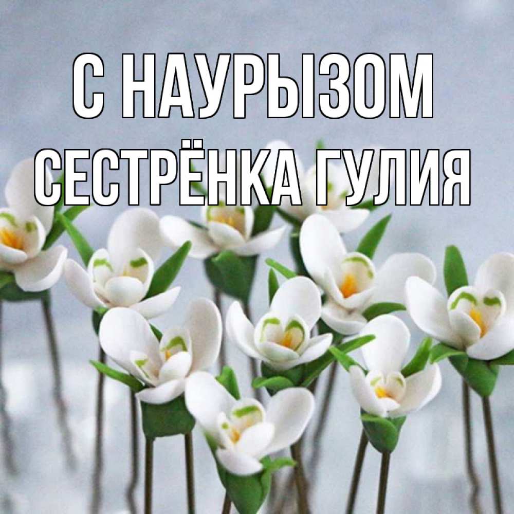 Открытка на каждый день с именем, Сестрёнка-Гулия С наурызом весенние цветы Прикольная открытка с пожеланием онлайн скачать бесплатно 