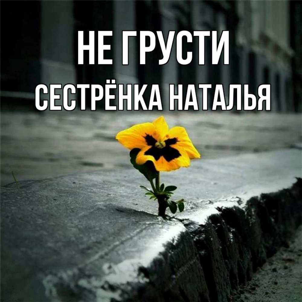 Открытка на каждый день с именем, Сестрёнка-Наталья Не грусти не сдавайся Прикольная открытка с пожеланием онлайн скачать бесплатно 