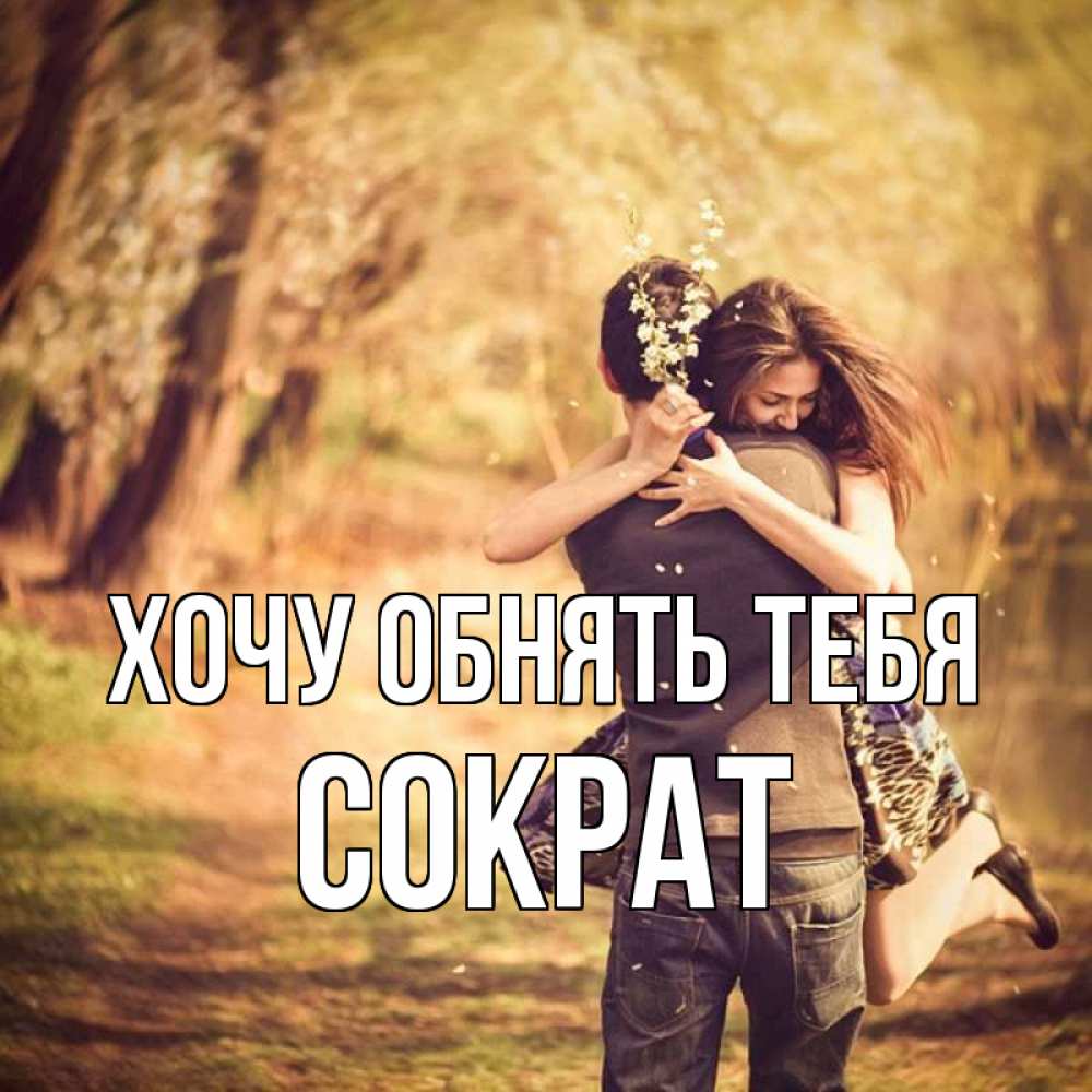 Открытка на каждый день с именем, Сократ Хочу обнять тебя Лес осенний Прикольная открытка с пожеланием онлайн скачать бесплатно 