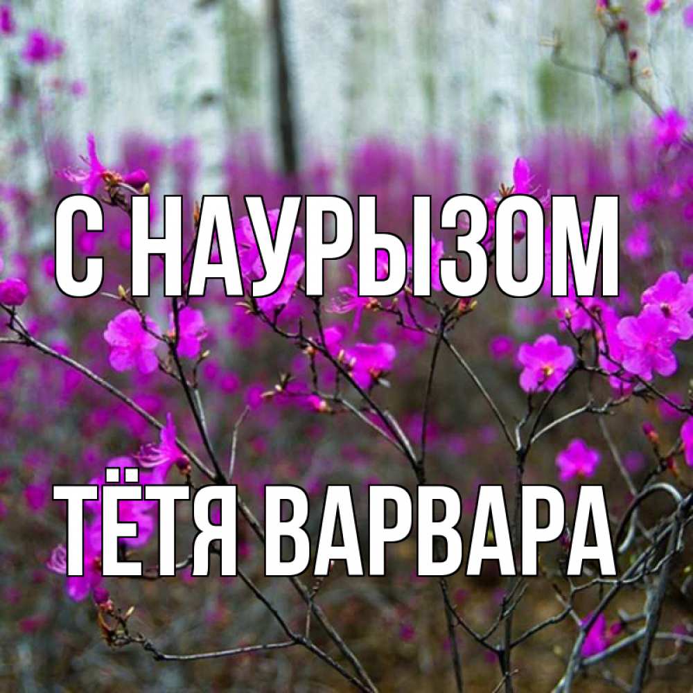 Открытка на каждый день с именем, Тётя-Варвара С наурызом дикие цветы Прикольная открытка с пожеланием онлайн скачать бесплатно 
