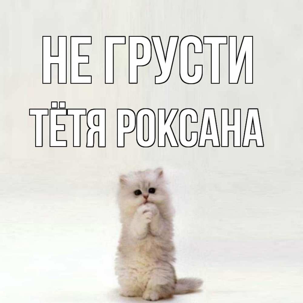 Открытка на каждый день с именем, Тётя-Роксана Не грусти грустный кот Прикольная открытка с пожеланием онлайн скачать бесплатно 