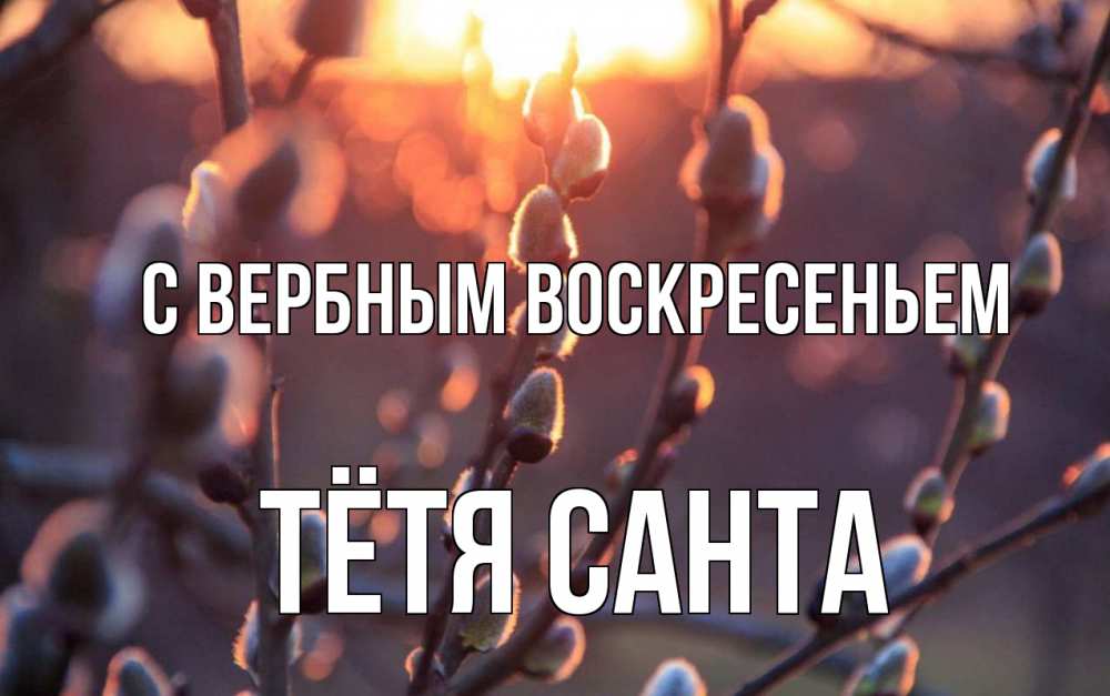 Открытка на каждый день с именем, Тётя-Санта С вербным воскресеньем верба Прикольная открытка с пожеланием онлайн скачать бесплатно 