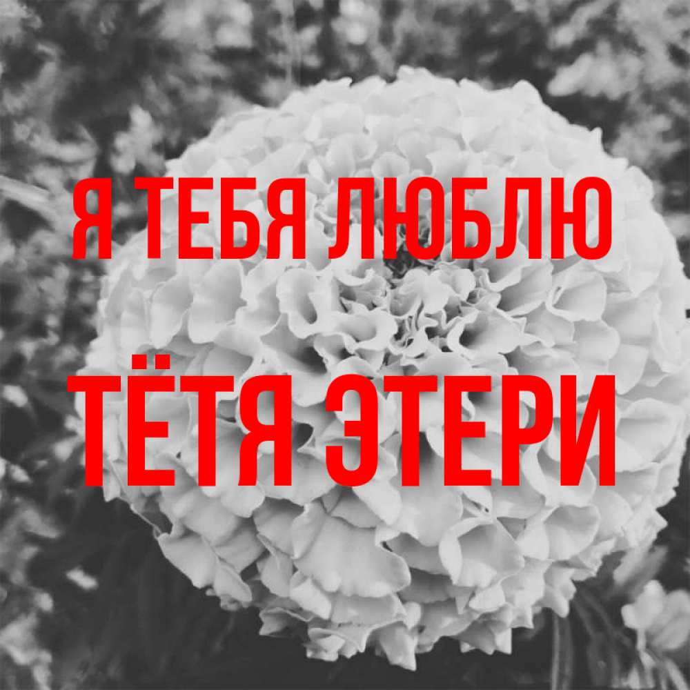 Открытка на каждый день с именем, Тётя-Этери Я тебя люблю подпись Прикольная открытка с пожеланием онлайн скачать бесплатно 