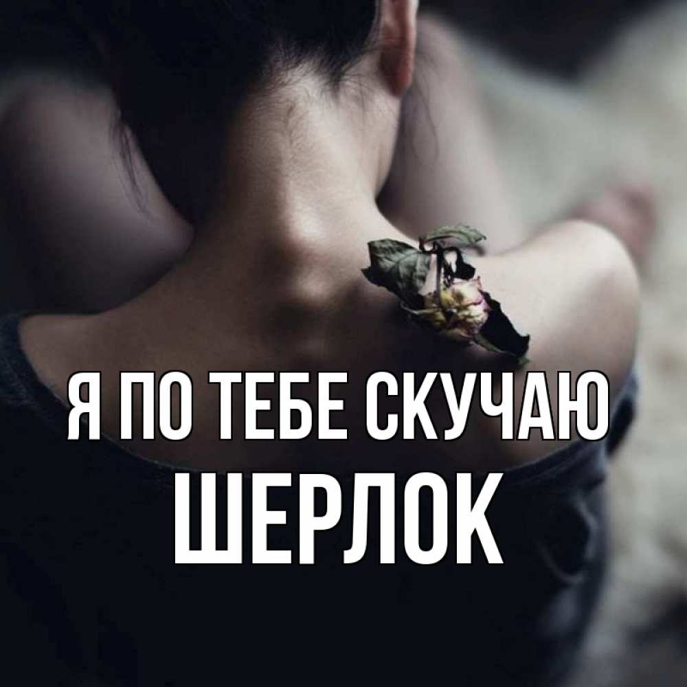 Открытка на каждый день с именем, Шерлок Я по тебе скучаю засох цветок Прикольная открытка с пожеланием онлайн скачать бесплатно 