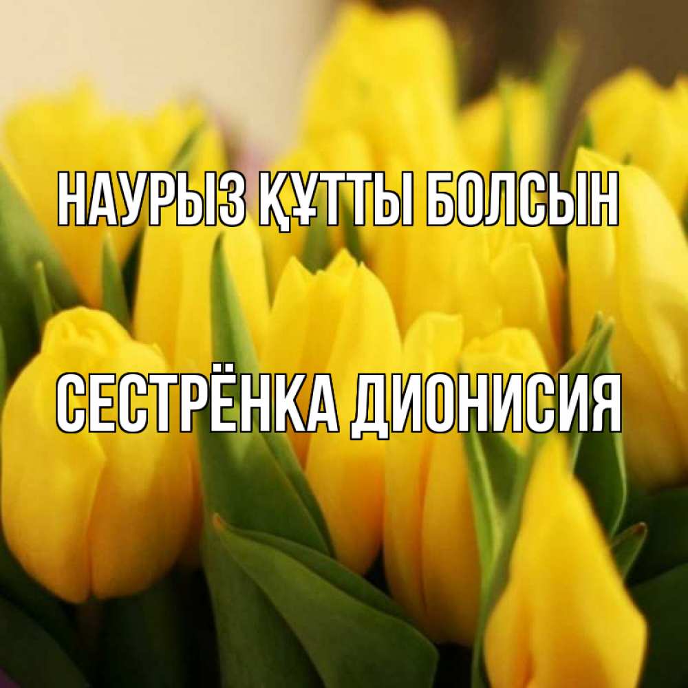 Открытка на каждый день с именем, Сестрёнка-Дионисия Наурыз құтты болсын цветы Прикольная открытка с пожеланием онлайн скачать бесплатно 