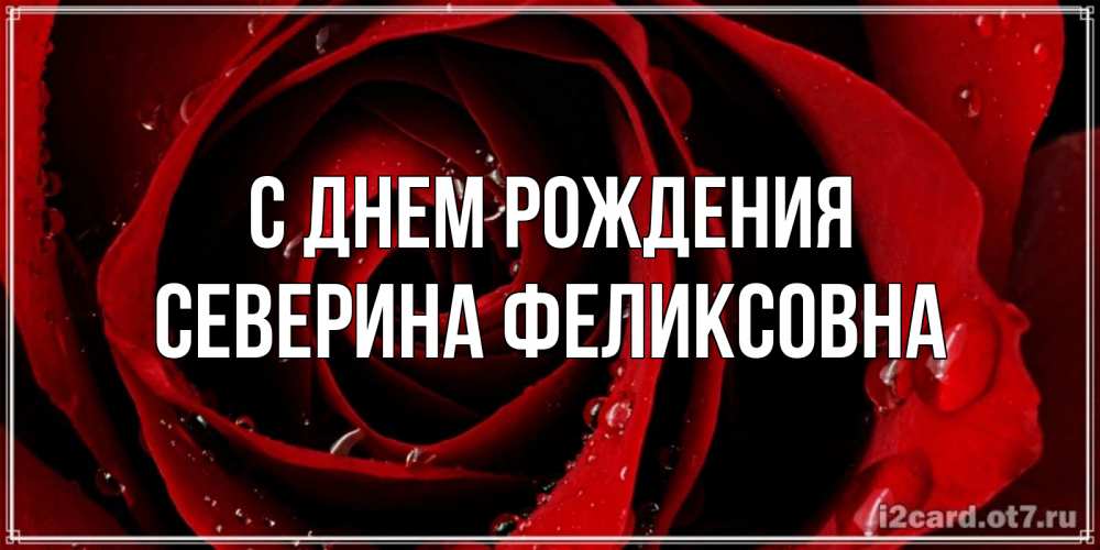 Картинка С днем рождения, Северина Феликсовна