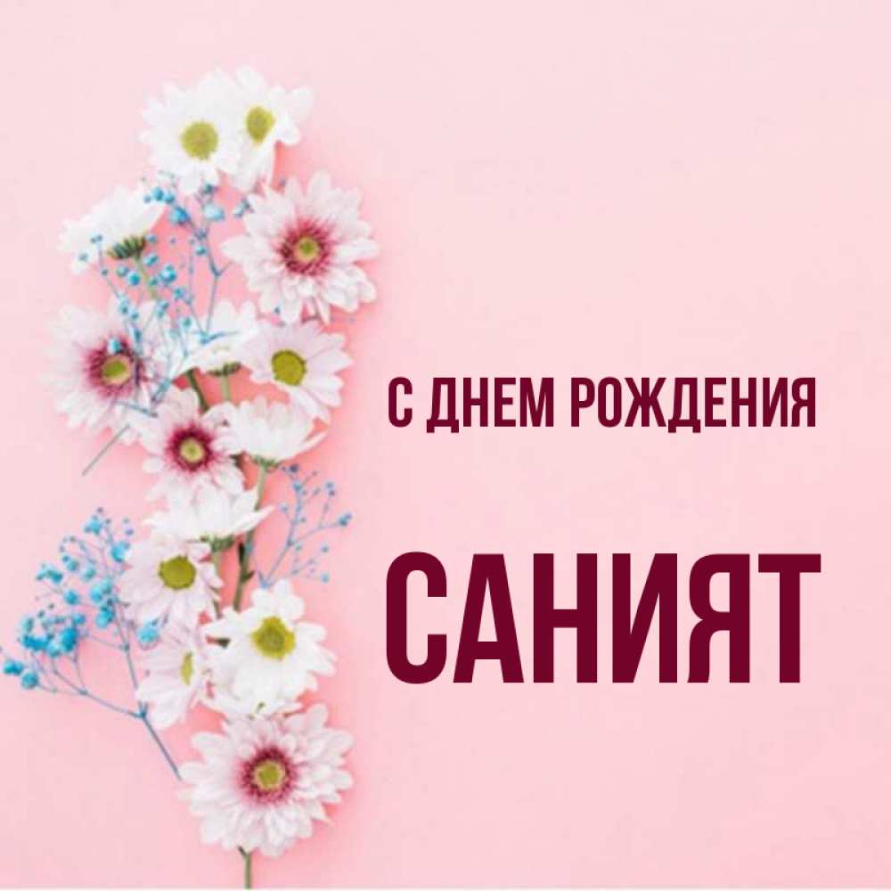 С днем рождения саният картинки