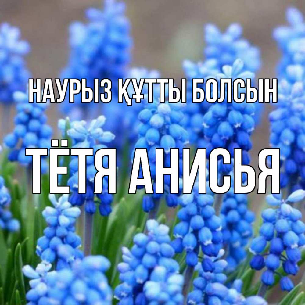 Открытка на каждый день с именем, Тётя-Анисья Наурыз құтты болсын Поздравительная открытка для женщин с цветами на праздничную дату Прикольная открытка с пожеланием онлайн скачать бесплатно 