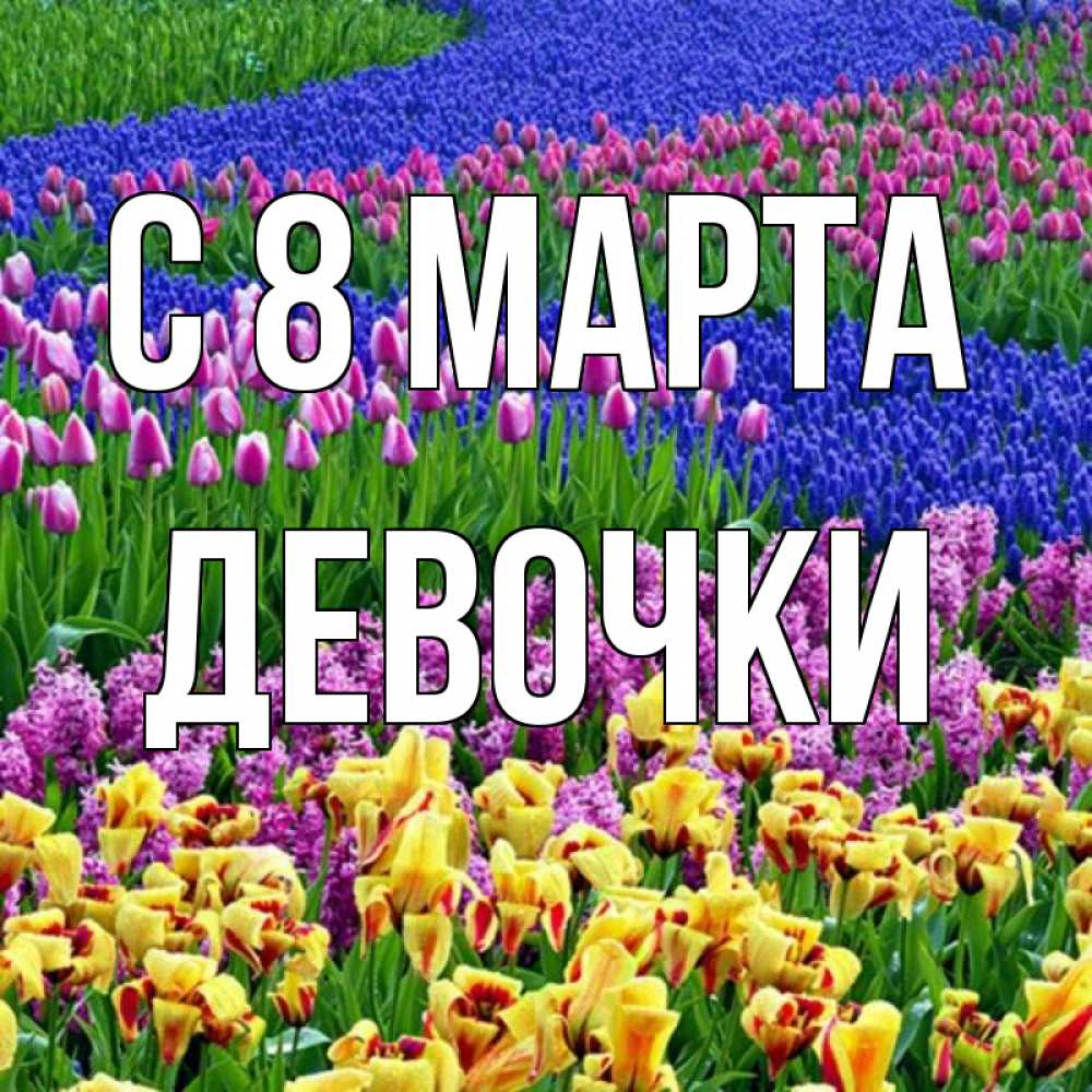 Картинка С 8 МАРТА, ДЕВОЧКИ
