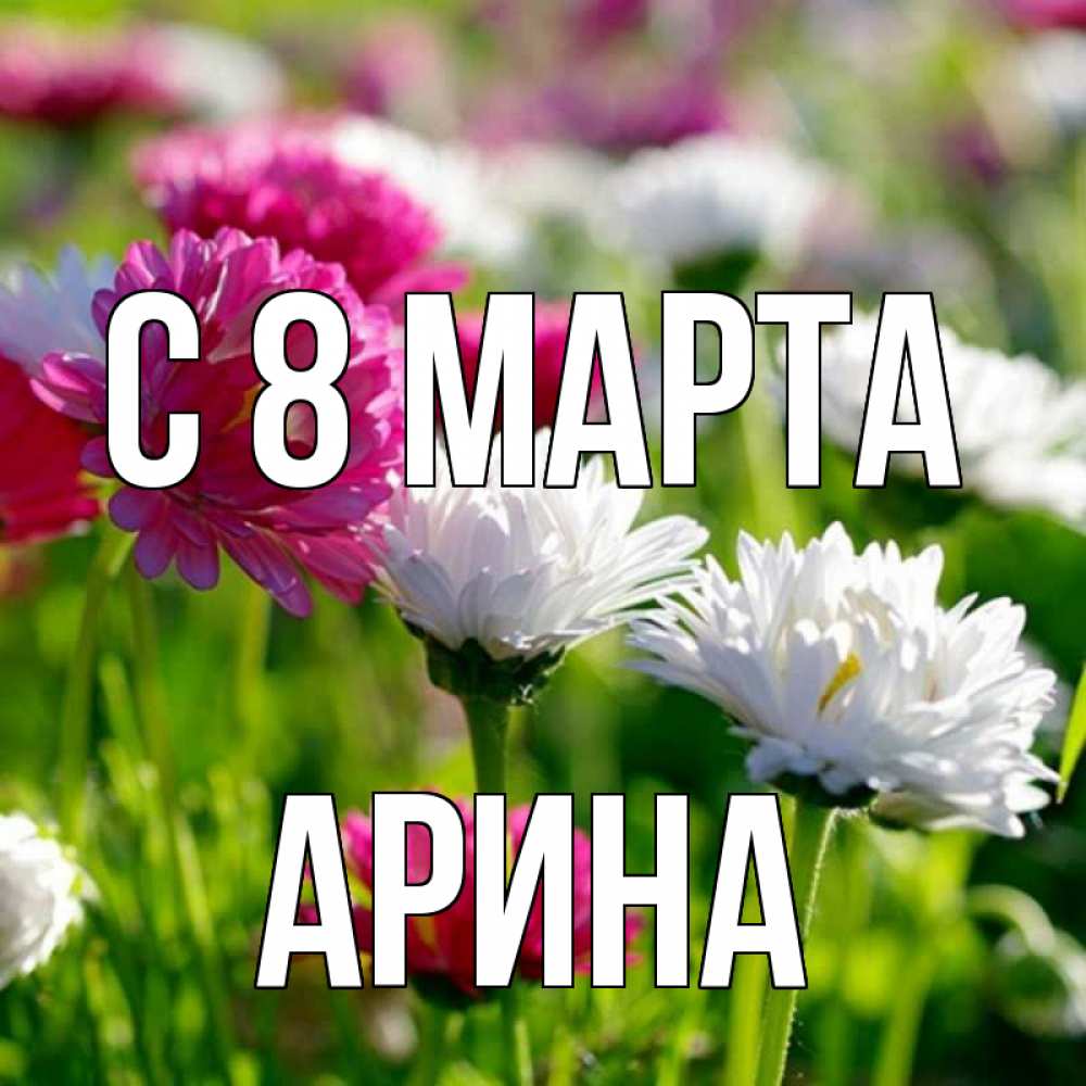 Открытка на каждый день с именем, Арина С 8 МАРТА международный женский день 1 Прикольная открытка с пожеланием онлайн скачать бесплатно 