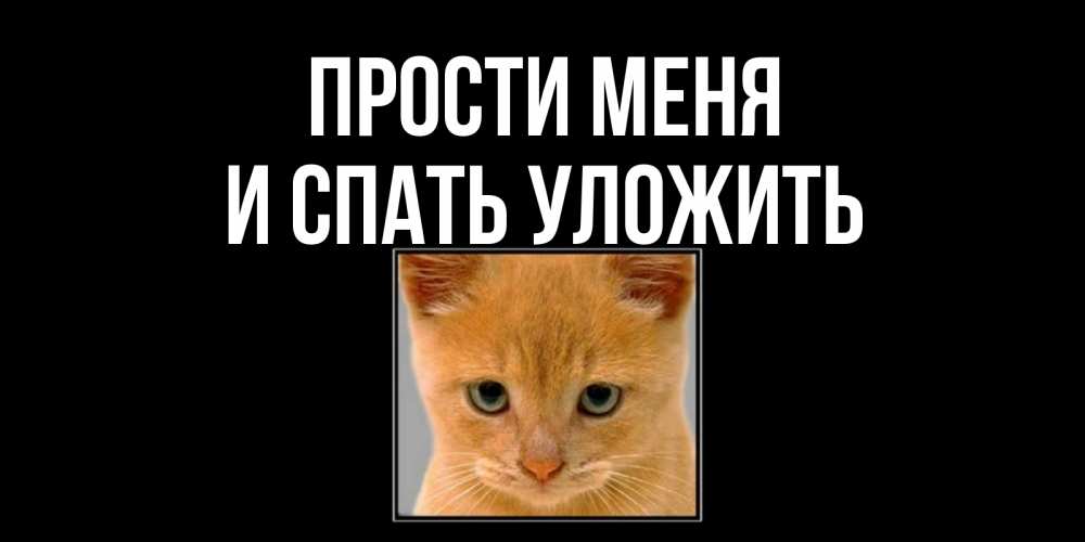 Словарное слово извините в картинках. Извините словарное слово. Случайно наступил на хвост кота. Извинись надпись. Извинить положить.