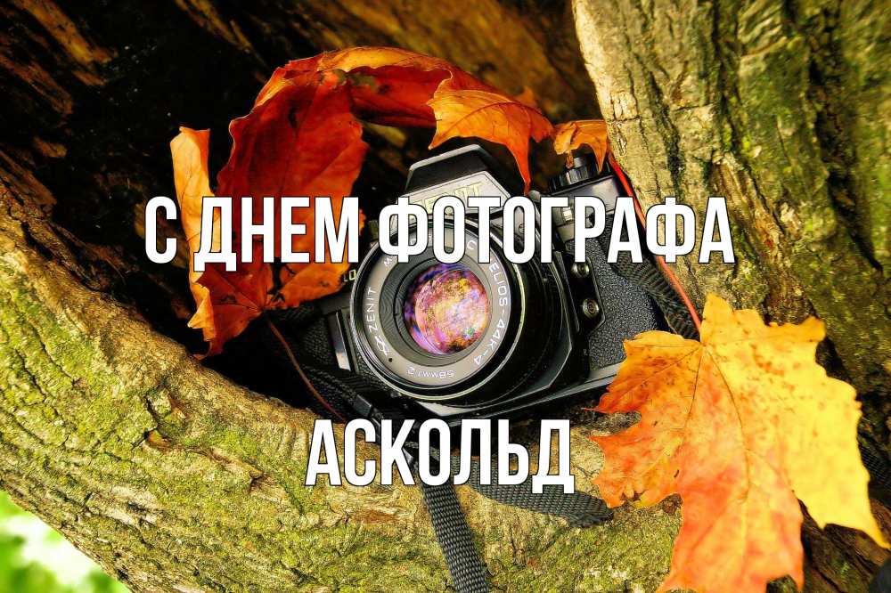 Открытка на каждый день с именем, Аскольд С днем фотографа с днем фотографа 1 Прикольная открытка с пожеланием онлайн скачать бесплатно 