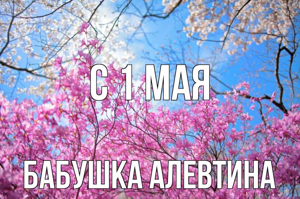 Открытка на каждый день с именем, Бабушка-Алевтина С 1 мая С 1 мая Прикольная открытка с пожеланием онлайн скачать бесплатно 