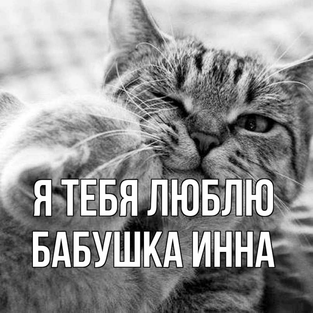 Открытка на каждый день с именем, Бабушка-Инна Я тебя люблю коты Прикольная открытка с пожеланием онлайн скачать бесплатно 