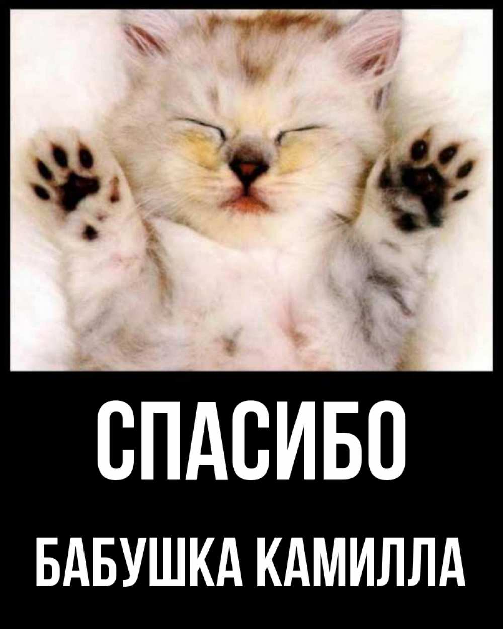 Открытка на каждый день с именем, Бабушка-Камилла Спасибо маленький котенок Прикольная открытка с пожеланием онлайн скачать бесплатно 
