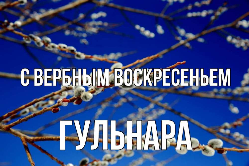 Открытка на каждый день с именем, Гульнара С вербным воскресеньем верба Прикольная открытка с пожеланием онлайн скачать бесплатно 