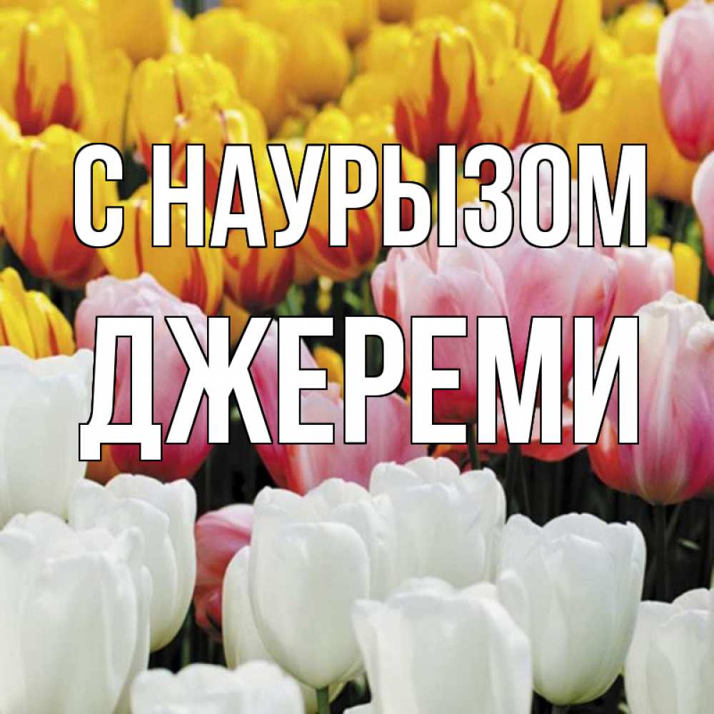 Открытка на каждый день с именем, Джереми С наурызом разноцветные цветы Прикольная открытка с пожеланием онлайн скачать бесплатно 