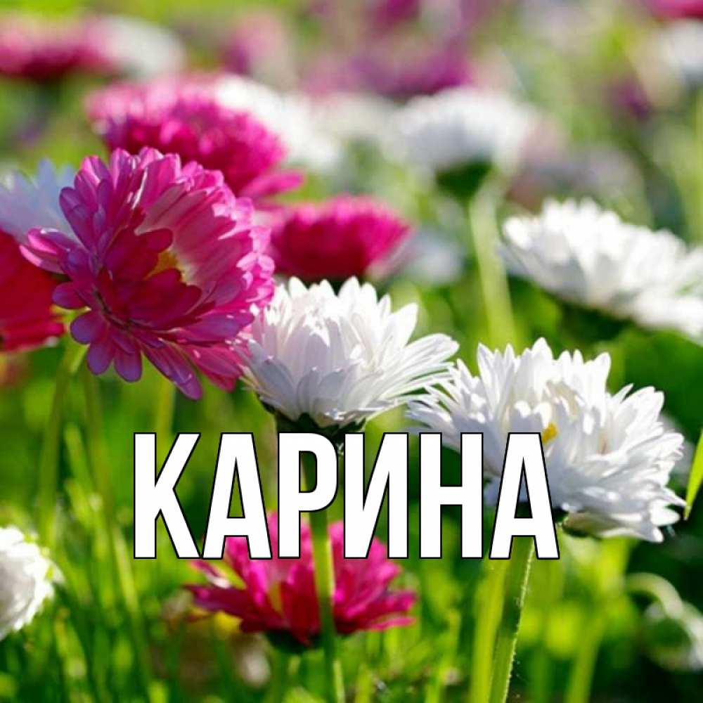 Открытка на каждый день с именем, Карина Главная праздник весны наурыз красота Прикольная открытка с пожеланием онлайн скачать бесплатно 